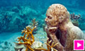 Stunning Underwater Sculptures Revive Coral Reefs